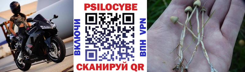 что такое наркотик  mega онион  Псилоцибиновые грибы Cubensis  Энем 